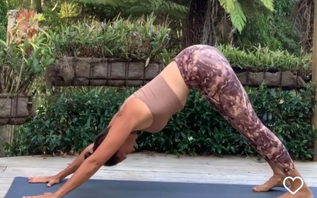 Protected: Learn the salute sequence